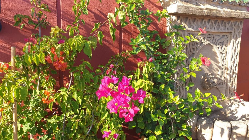Patio, Spring, Day, Balcony/Terrace, Decorative detail