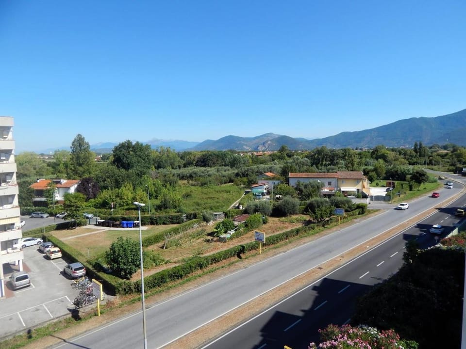 Property building, Neighbourhood, Street view, Location