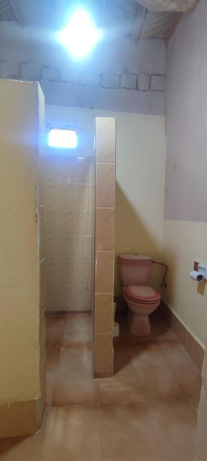 Toilet, Bathroom