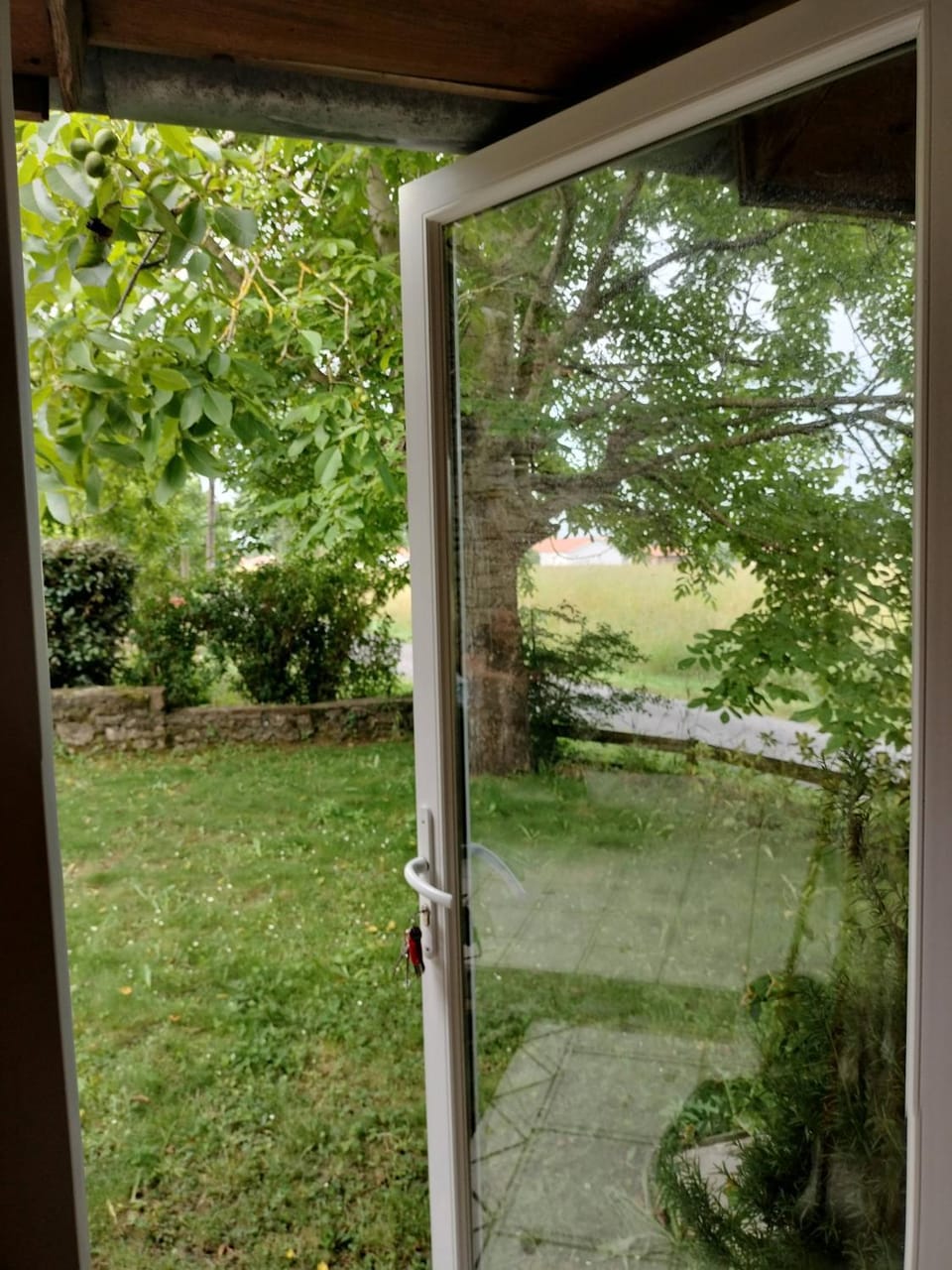 Property building, Garden, Garden view