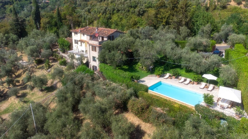 Property building, Garden, Swimming pool