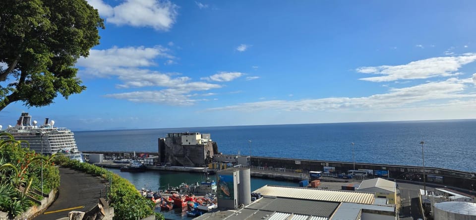 Ocean Pearl Apartment Y Apartment in Funchal