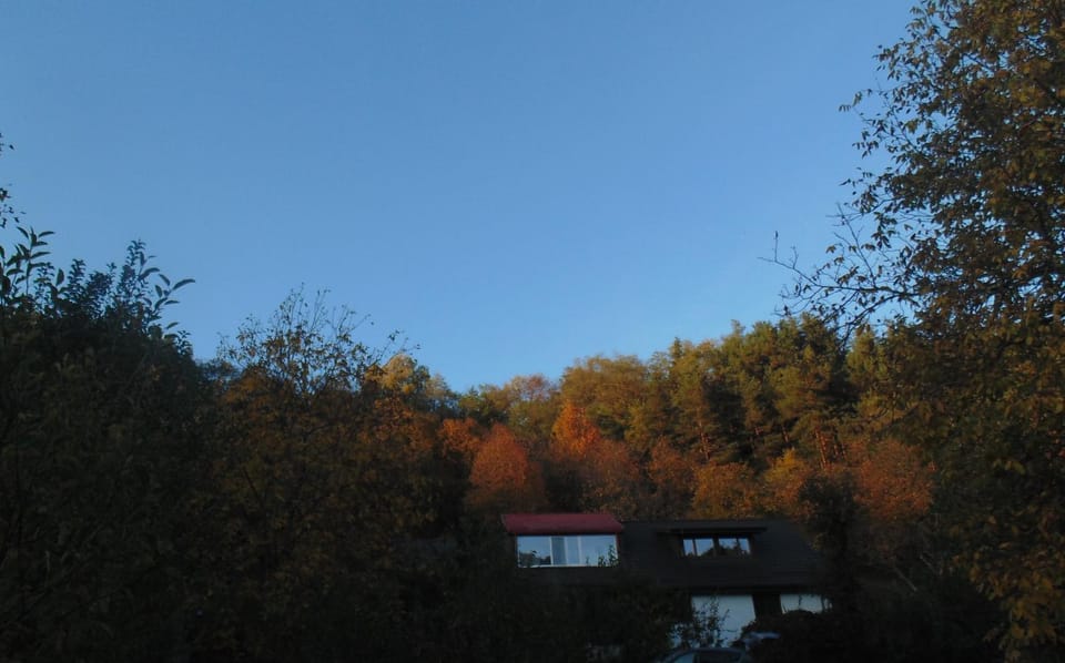 Property building, Autumn