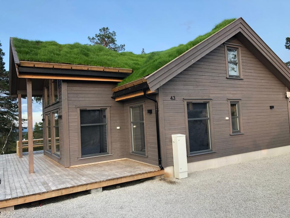 Property building, Day