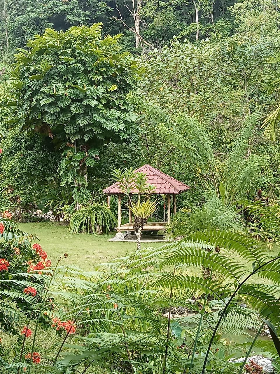 Garden, Garden view