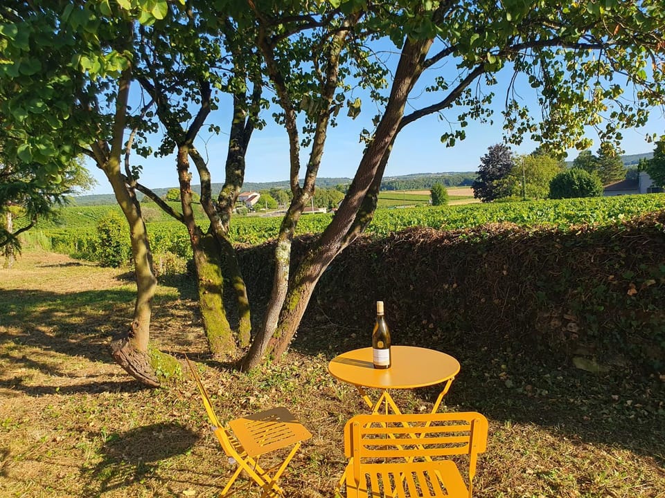 Garden, Garden view