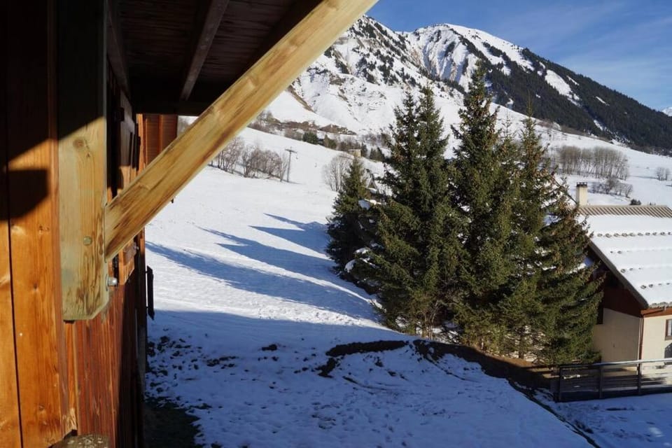 APPARTEMENT PIEDS DE PISTE - 4-6 PERSONNES Apartment in Auvergne-Rhône-Alpes