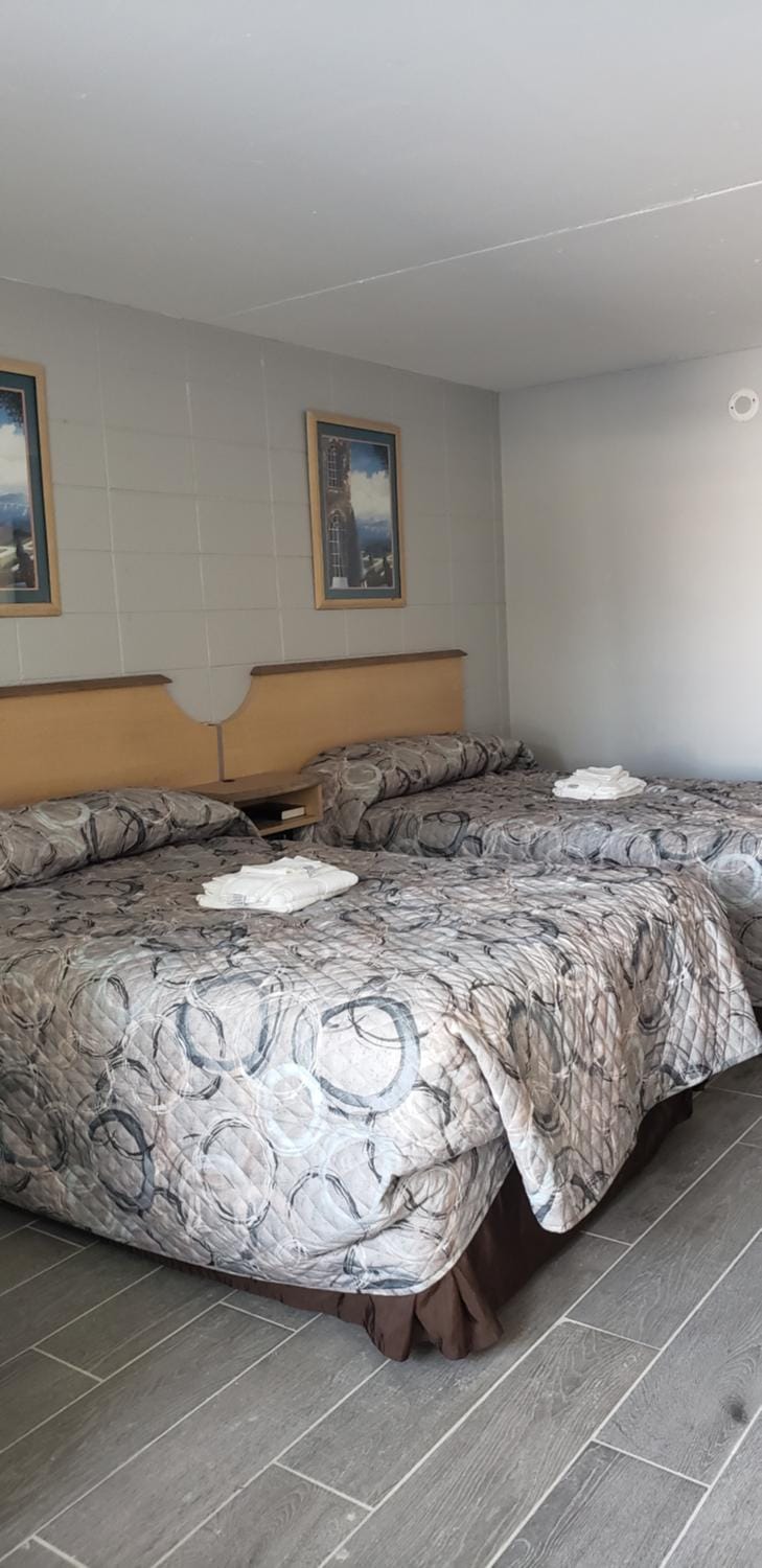 Palmsbythebeach Motel in Myrtle Beach
