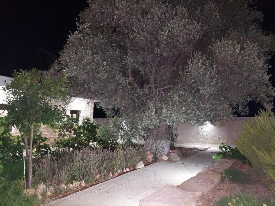 Villa Elia Villa in Crete