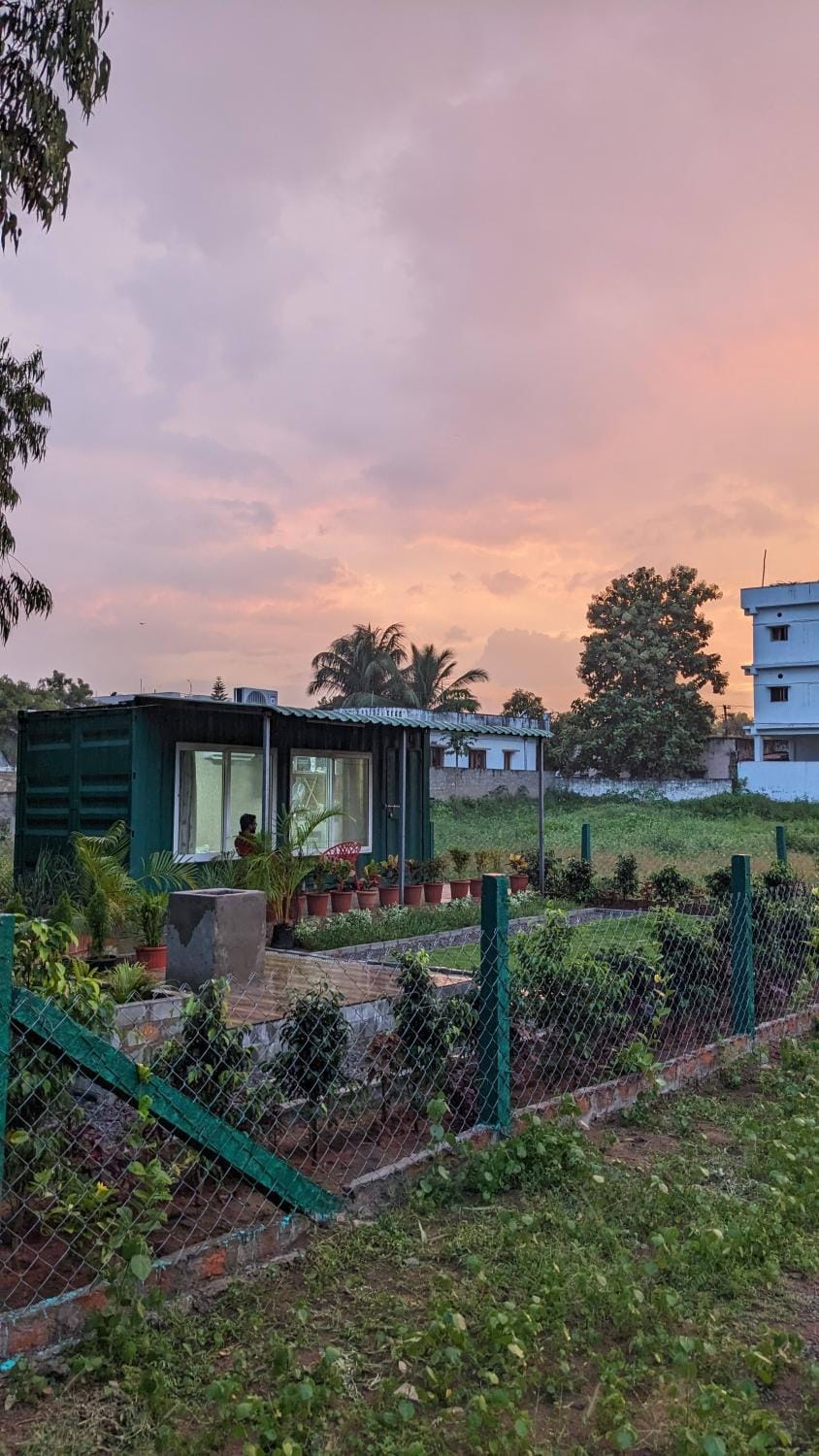 Natural landscape, Garden, Sunset