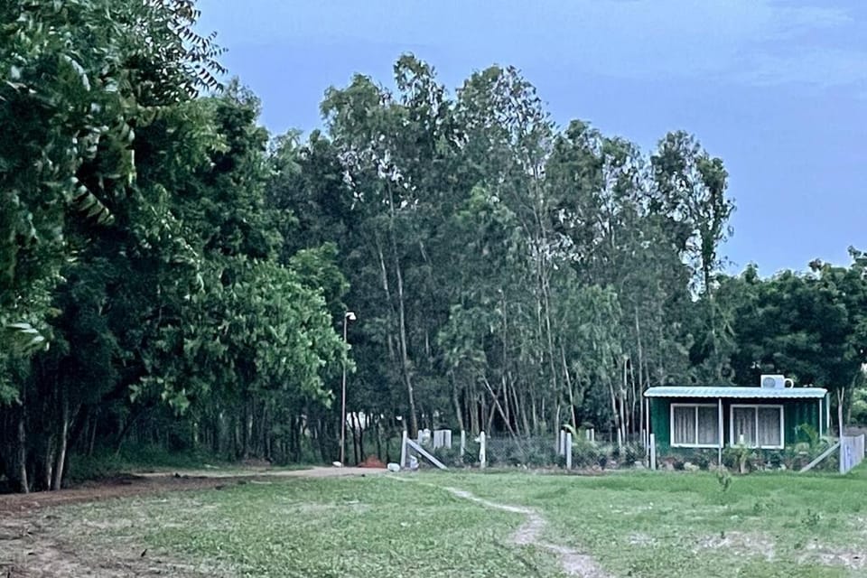 Natural landscape, Garden