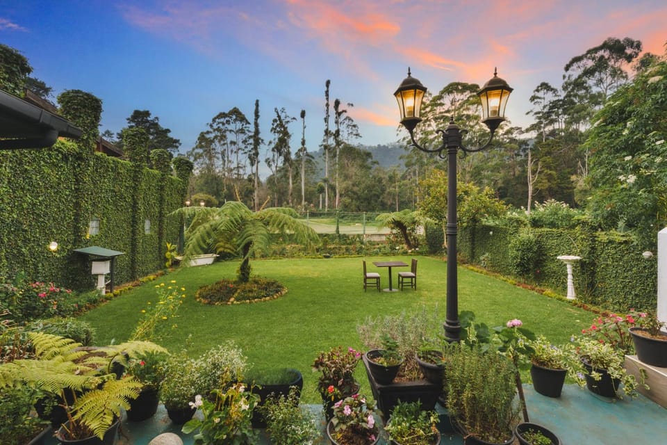Garden