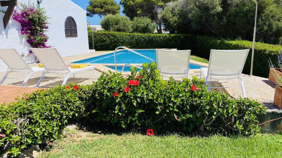 Patio, Garden, Garden view