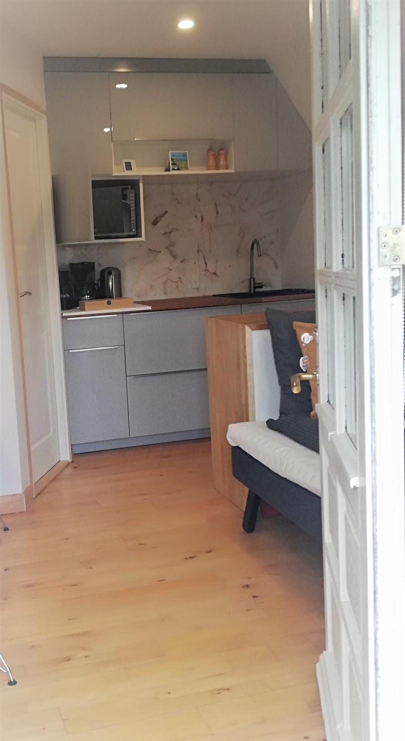 Kitchen or kitchenette, minibar