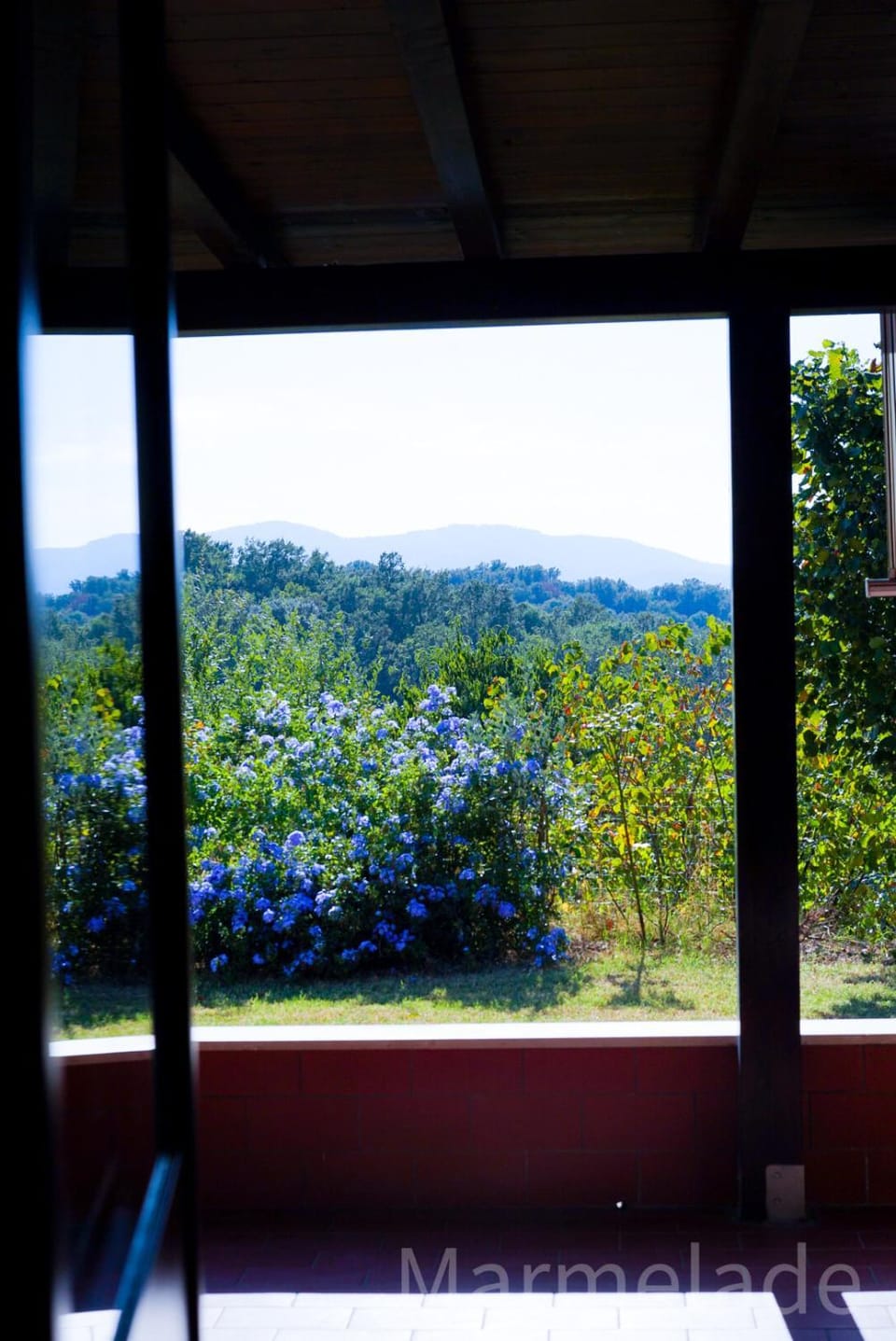Bird's eye view, Garden view