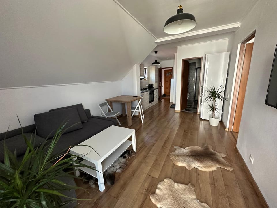Bed, TV and multimedia, Living room