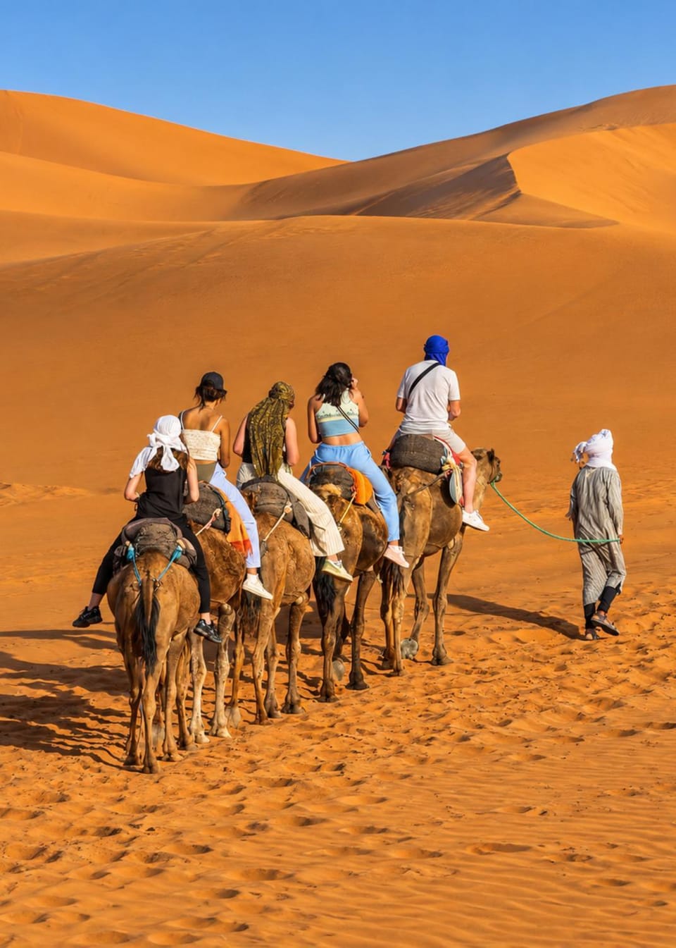 Day, People, Natural landscape, Horse-riding, Animals, group of guests