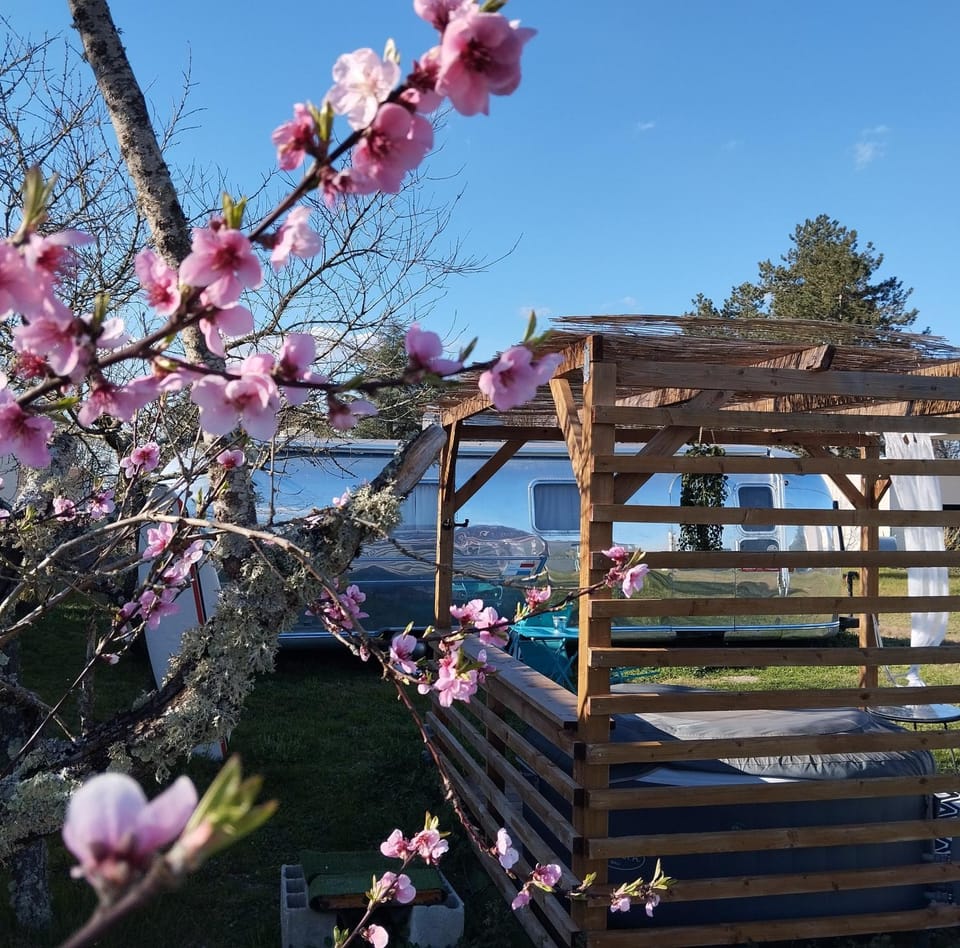 Spring, Day, Natural landscape