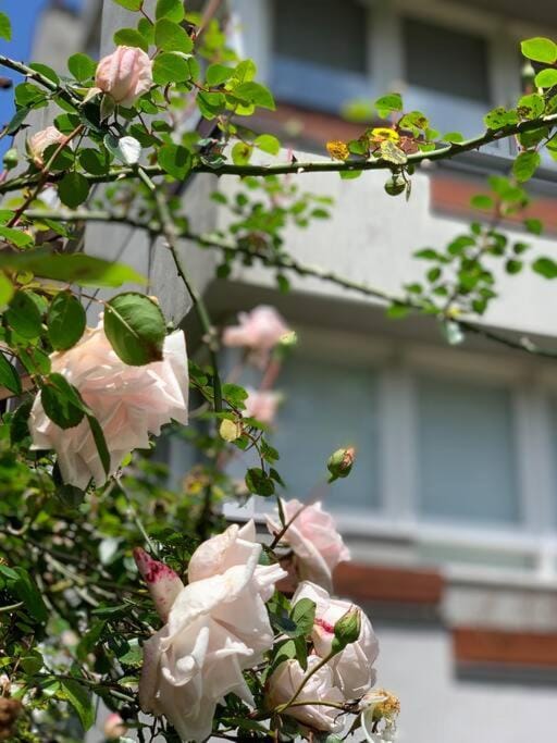 Day, Garden, Garden view