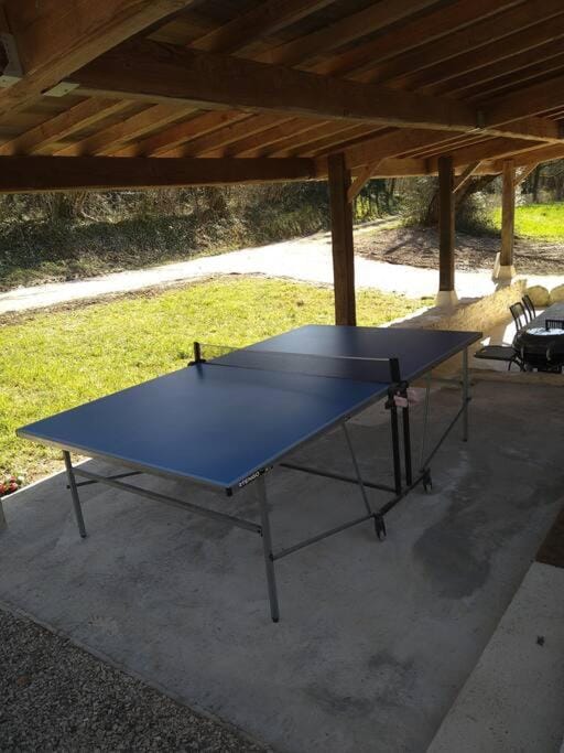 Table tennis