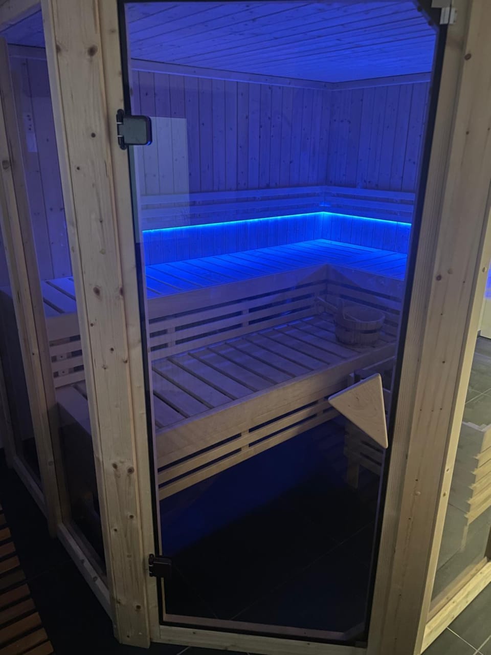 Sauna, Spa and wellness centre/facilities