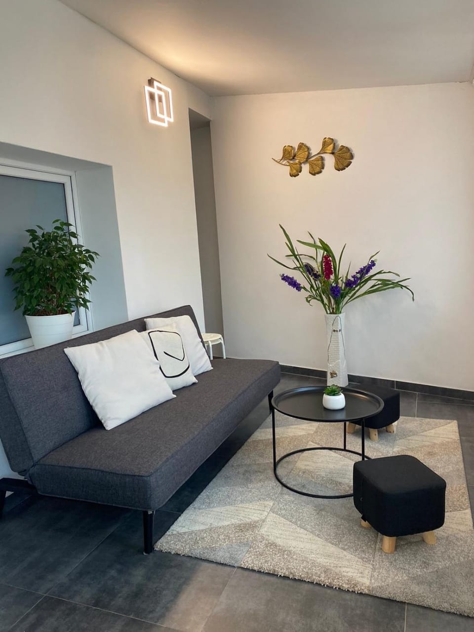3 Apartments in 1 location Apartment in Prague