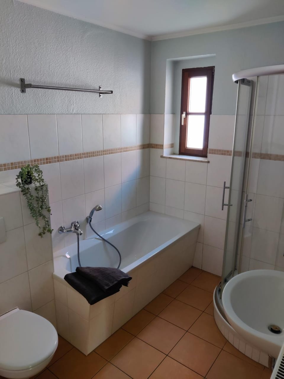 Shower, Toilet, Bathroom, Bath
