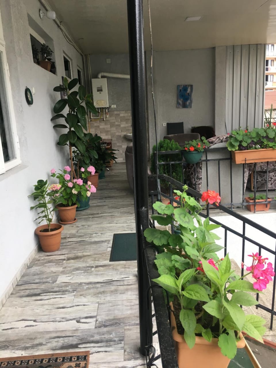 Eka Guest House Hostel in Batumi