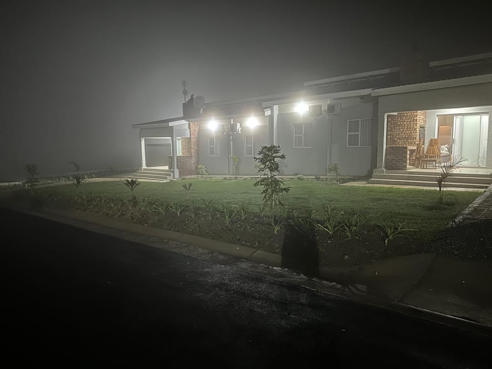 Night