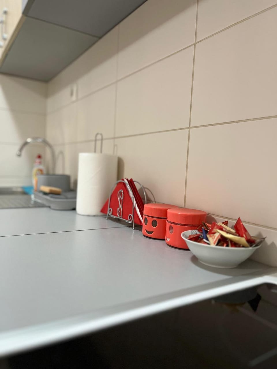 Apartman B&S Apatin Apartment in Vojvodina