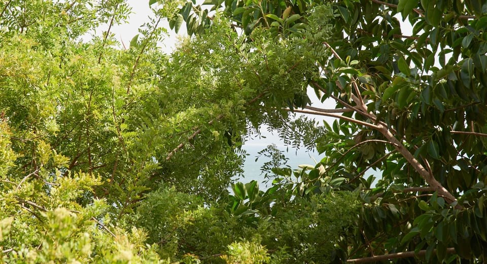 Natural landscape