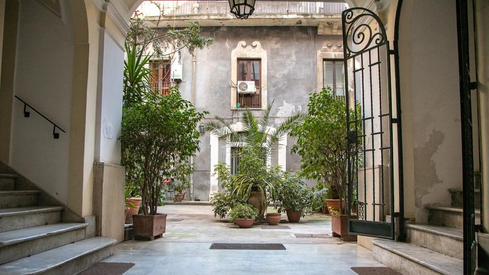 Patio, Balcony/Terrace, Inner courtyard view