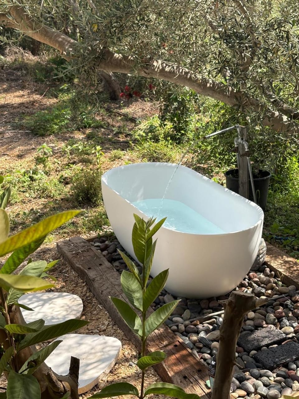 Sauna, Open Air Bath