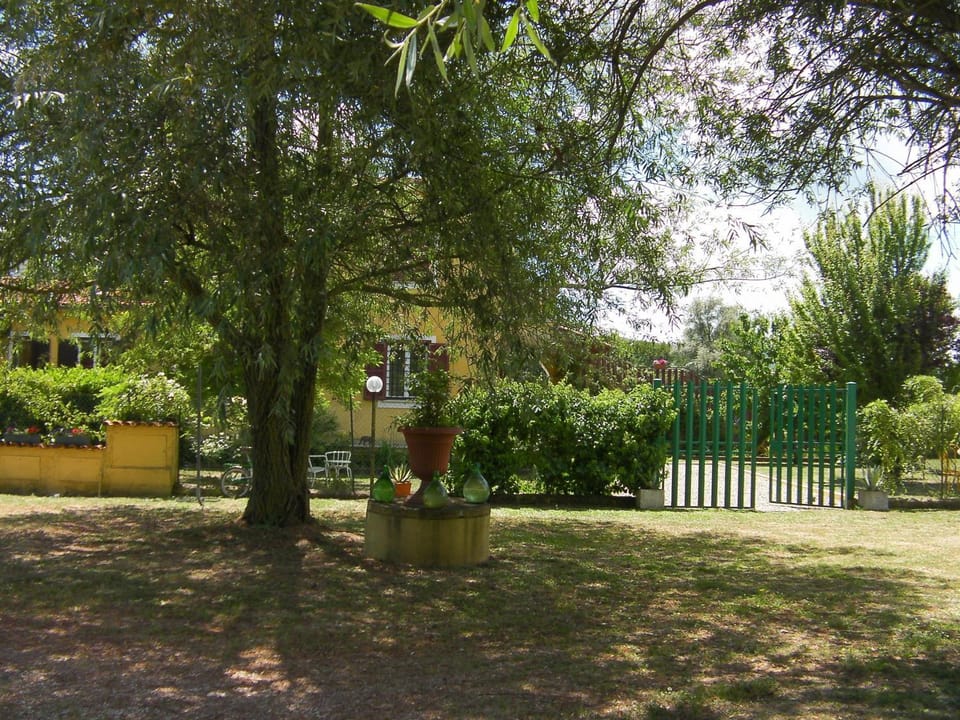 Garden view