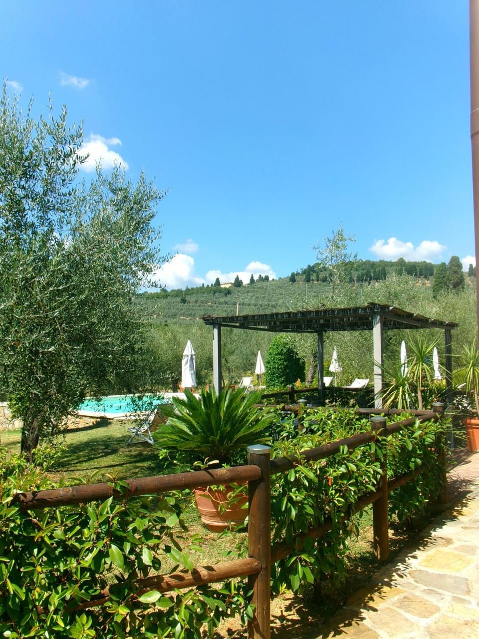Natural landscape, Garden, Garden view