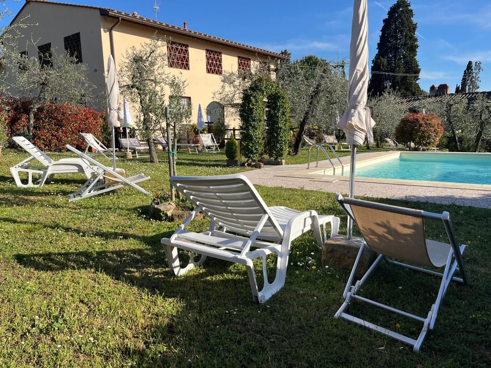 Garden, Garden view, sunbed