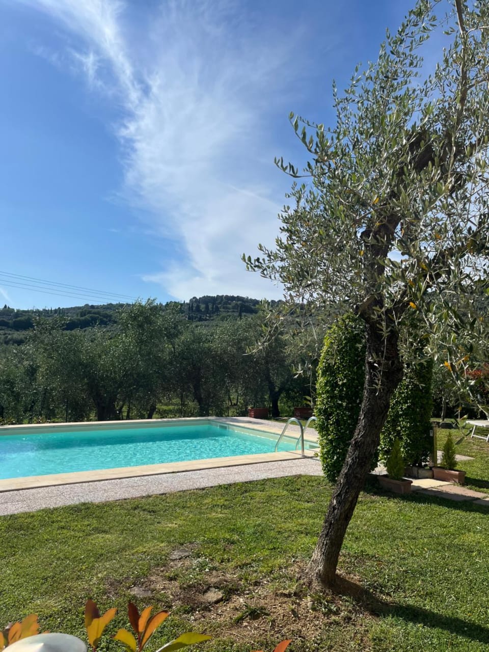 Agriturismo IL VIAIO Farm Stay in Tuscany