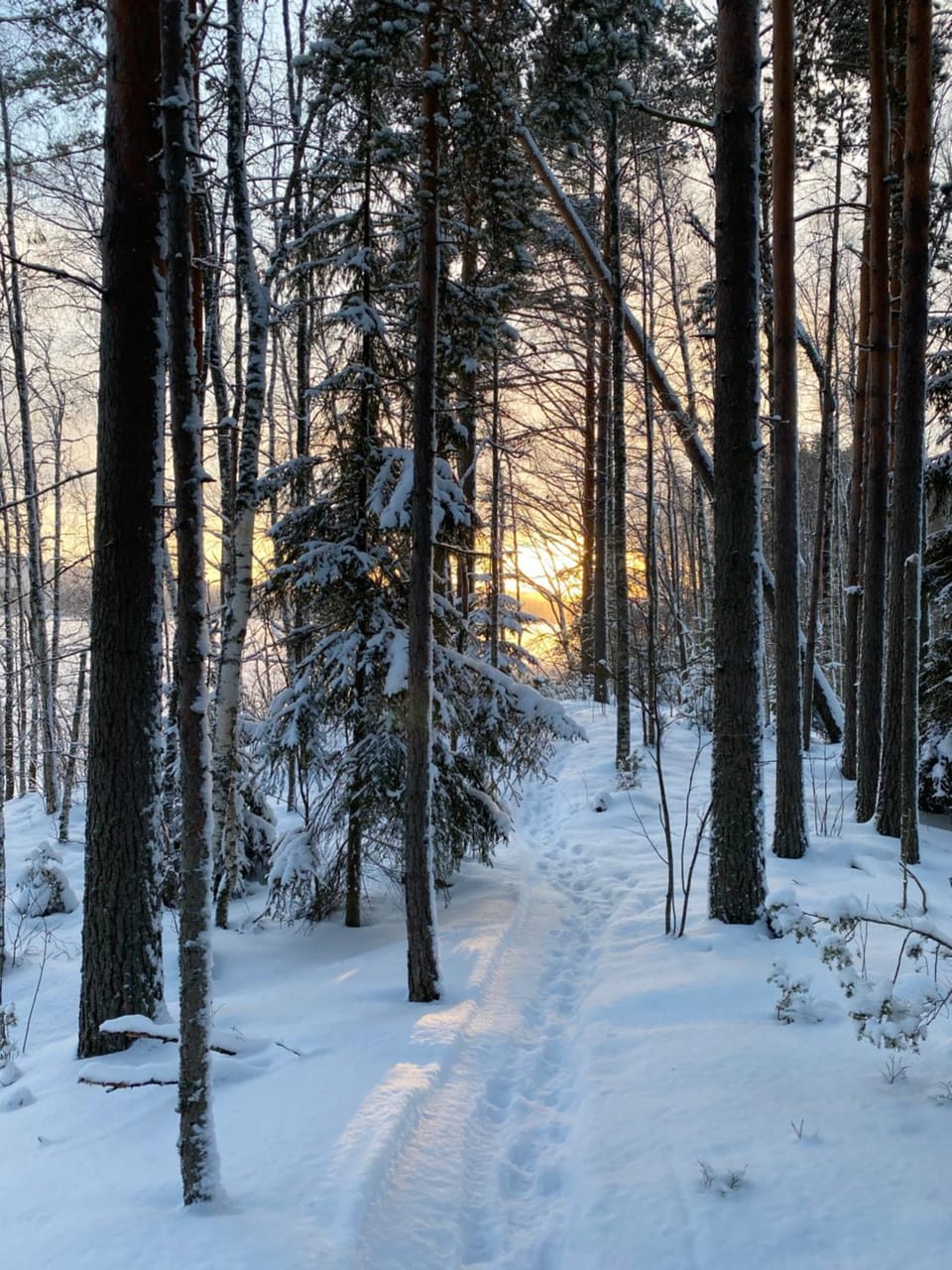 Two bedroom duplex with peaceful views Apartment in Finland