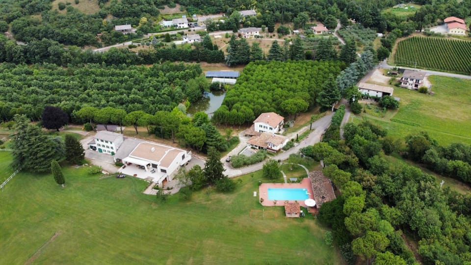 Bird's eye view, Swimming pool