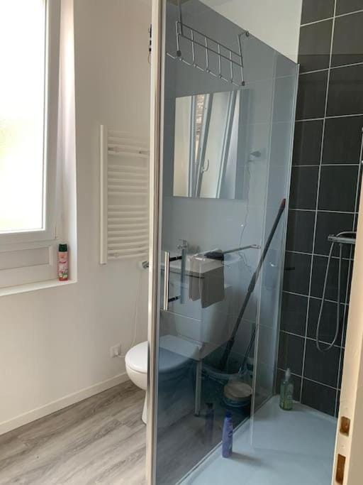 Shower, Toilet, Bathroom