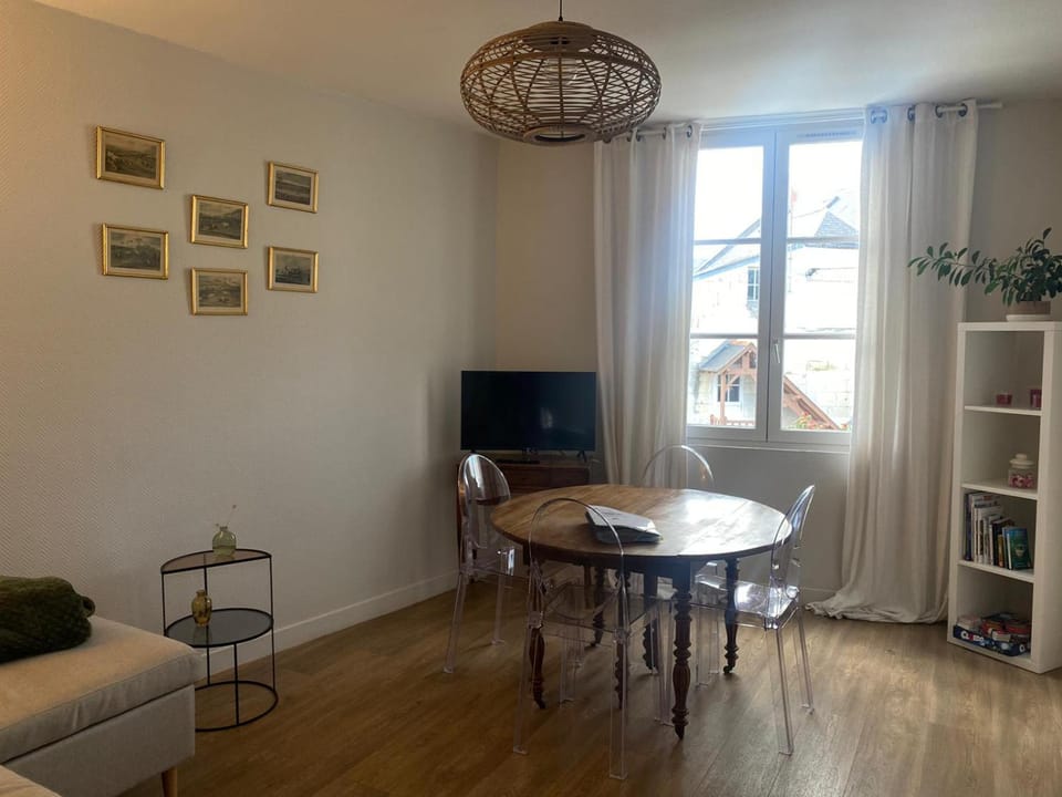 Les marronniers appartement centre Saumur bord de Loire Apartment in Saumur