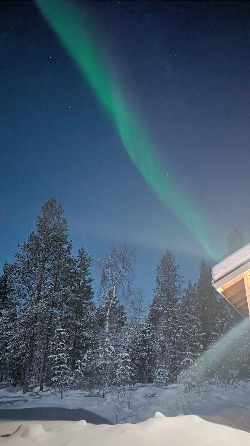 Hallahaukka Chalet in Lapland