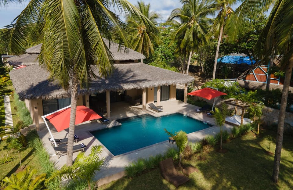 Natural landscape, Garden, Garden view, Pool view, Swimming pool