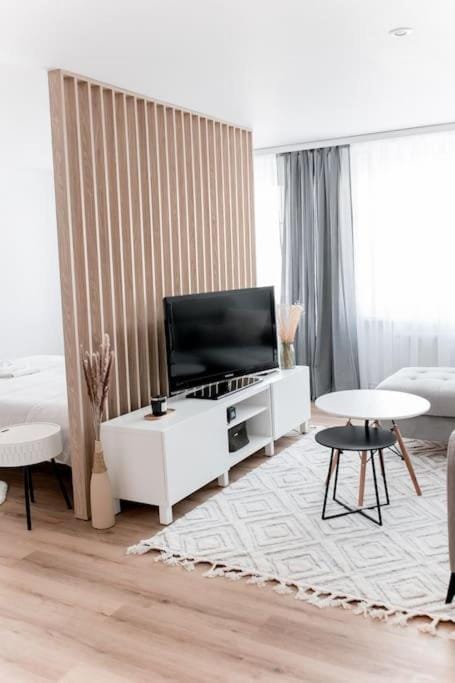 TV and multimedia, Living room, Photo of the whole room, Seating area