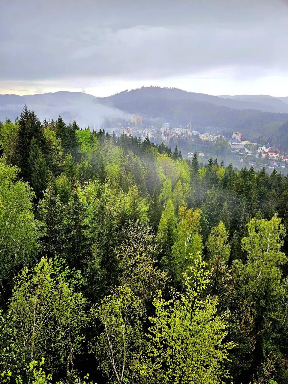 Brave Lama Apartment in Lower Silesian Voivodeship