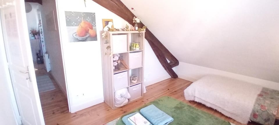 CHEZ ISA chambre chez l'habitant Emma Vacation rental in Centre-Val de Loire