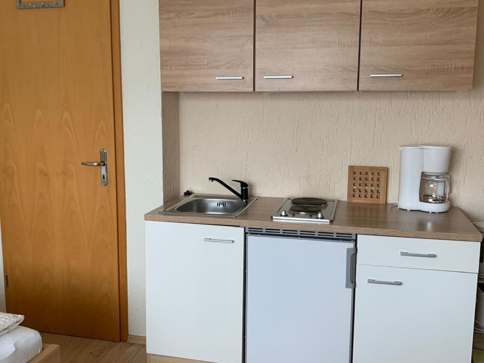 Kitchen or kitchenette, kitchen