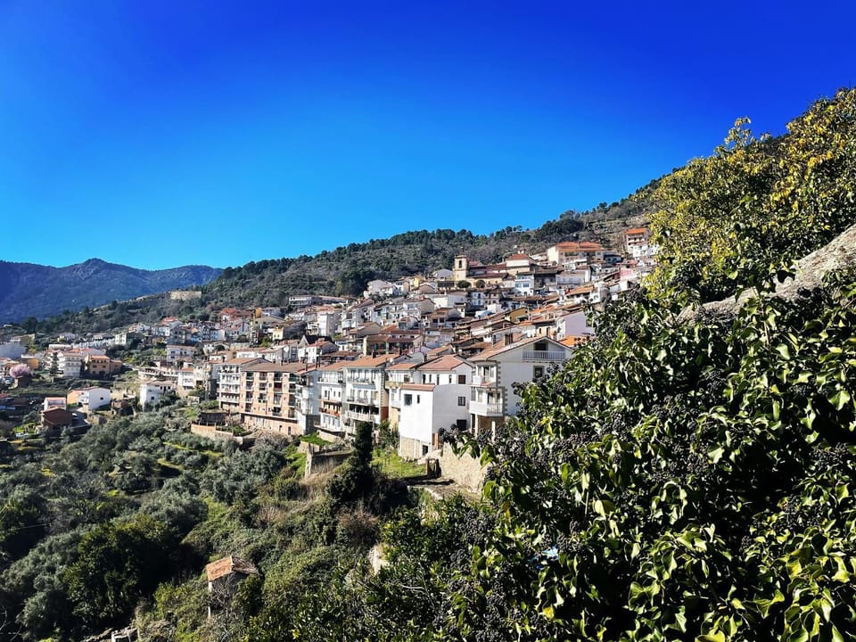 City view