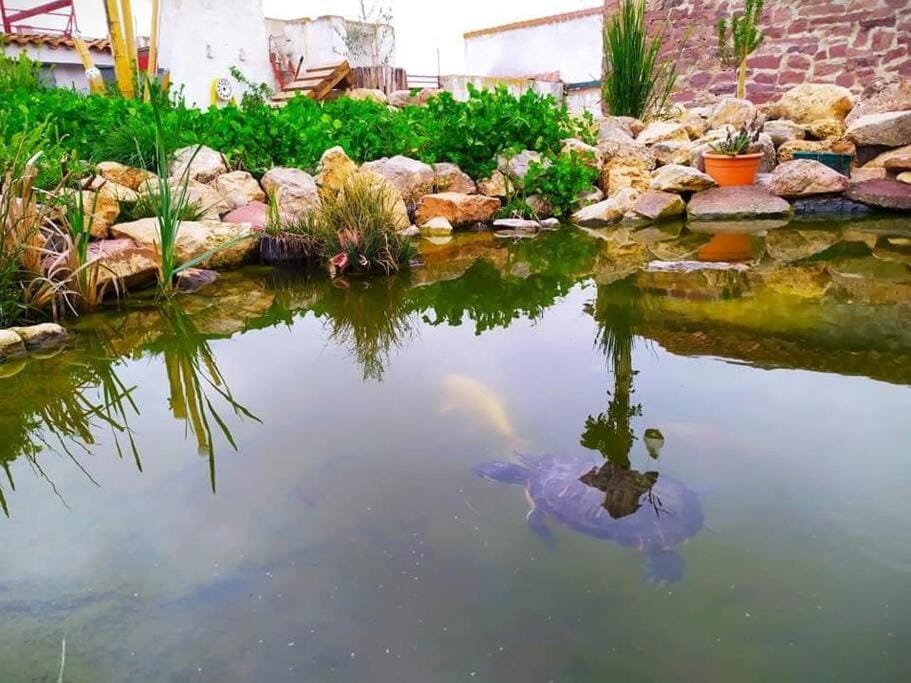 La Quibla de Abuhan House in Aragon