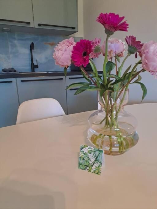 De Platwever 3B Apartment in Gelderland, Netherlands
